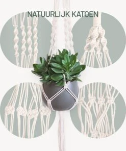 Gadgy Plantenhanger Macramé 3 Stuks - Luxe Gevlochten Touw Katoen - Plantenpot Ophangen - Hangpot 13 Gadgy Plantenhanger Macramé 3 Stuks - Luxe Gevlochten Touw Katoen - Plantenpot Ophangen - Hangpot -Gardena Verkoopwinkel 1000x1200 6