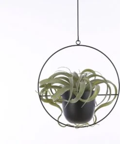 Mica Decorations Dexter Bloempot Hangend - L34 X B14 X H65 Cm - Zwart -Gardena Verkoopwinkel 1002x1200