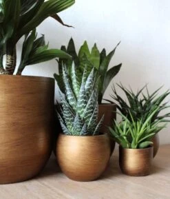 Capi Europe - Bloempot Bol Retro XL - 42x41 - Goud - Bloempot Voor Binnen - Opening ⌀36 - RTG933 -Gardena Verkoopwinkel 1024x1200 4