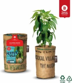 Baza Stadstuin Hete Peper Kweek Pakket -Gardena Verkoopwinkel 1036x1200