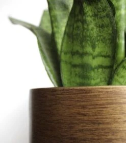 Capi Europe - Bloempot Bol Retro XL - 42x41 - Goud - Bloempot Voor Binnen - Opening ⌀36 - RTG933 -Gardena Verkoopwinkel 1061x1200 2