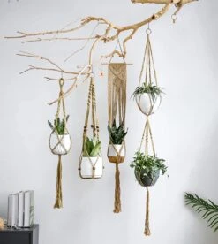 5 Stuks Luxe Jute Plantenhangers - Boho Handgeweven Katoen Hangpot Voor Binnen/Buiten - Hangende Bloempot Met Kralen - Macramé Touw/Koord Hangplant Houder - Bohemian Wandhanger Decoratie - Plant Hanger - Verticale Tuin Bloempothouder Planthanger 13 5 Stuks Luxe Jute Plantenhangers - Boho Handgeweven Katoen Hangpot Voor Binnen/Buiten - Hangende Bloempot Met Kralen - Macramé Touw/Koord Hangplant Houder - Bohemian Wandhanger Decoratie - Plant Hanger - Verticale Tuin Bloempothouder Planthanger -Gardena Verkoopwinkel 1074x1200 3