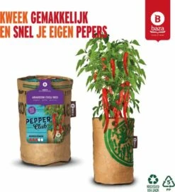 Baza Stadstuin Hete Peper Kweek Pakket -Gardena Verkoopwinkel 1090x1200 1