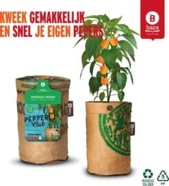 Baza Stadstuin Hete Peper Kweek Pakket -Gardena Verkoopwinkel 1090x1200
