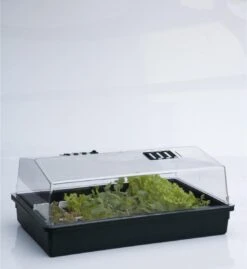 Grote Kweekbak/kweekkastje Met Deksel 24 X 59 X 39 Cm - Propagator/moestuinbak -Gardena Verkoopwinkel 1101x1200