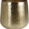 Karakter Bloempot Goud - XXL -Gardena Verkoopwinkel 1101x1200 4