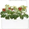 Click And Grow - Smart Garden 3 - Wit -Gardena Verkoopwinkel 1116x1200 1