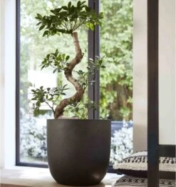 Capi Europe - Bloempot Bol Smooth NL - 43x41 - Zwart - Voor Binnen En Buiten - KBL933 -Gardena Verkoopwinkel 1132x1200 8