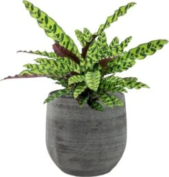 Merkloos Pot Esra Mystic Grey Bloempot Binnen 22 Cm -Gardena Verkoopwinkel 1144x1200 2