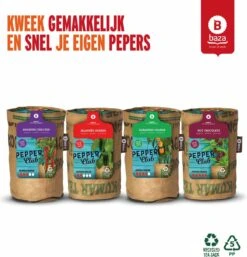 Baza Stadstuin Hete Peper Kweek Pakket -Gardena Verkoopwinkel 1153x1200