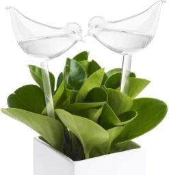 Luxe Planten Waterdruppelaar - Waterbol Vogel - Watergever - Watergeefsysteem Voor Planten & Bloemen - 200ML - Set Van 2 -Gardena Verkoopwinkel 1160x1200