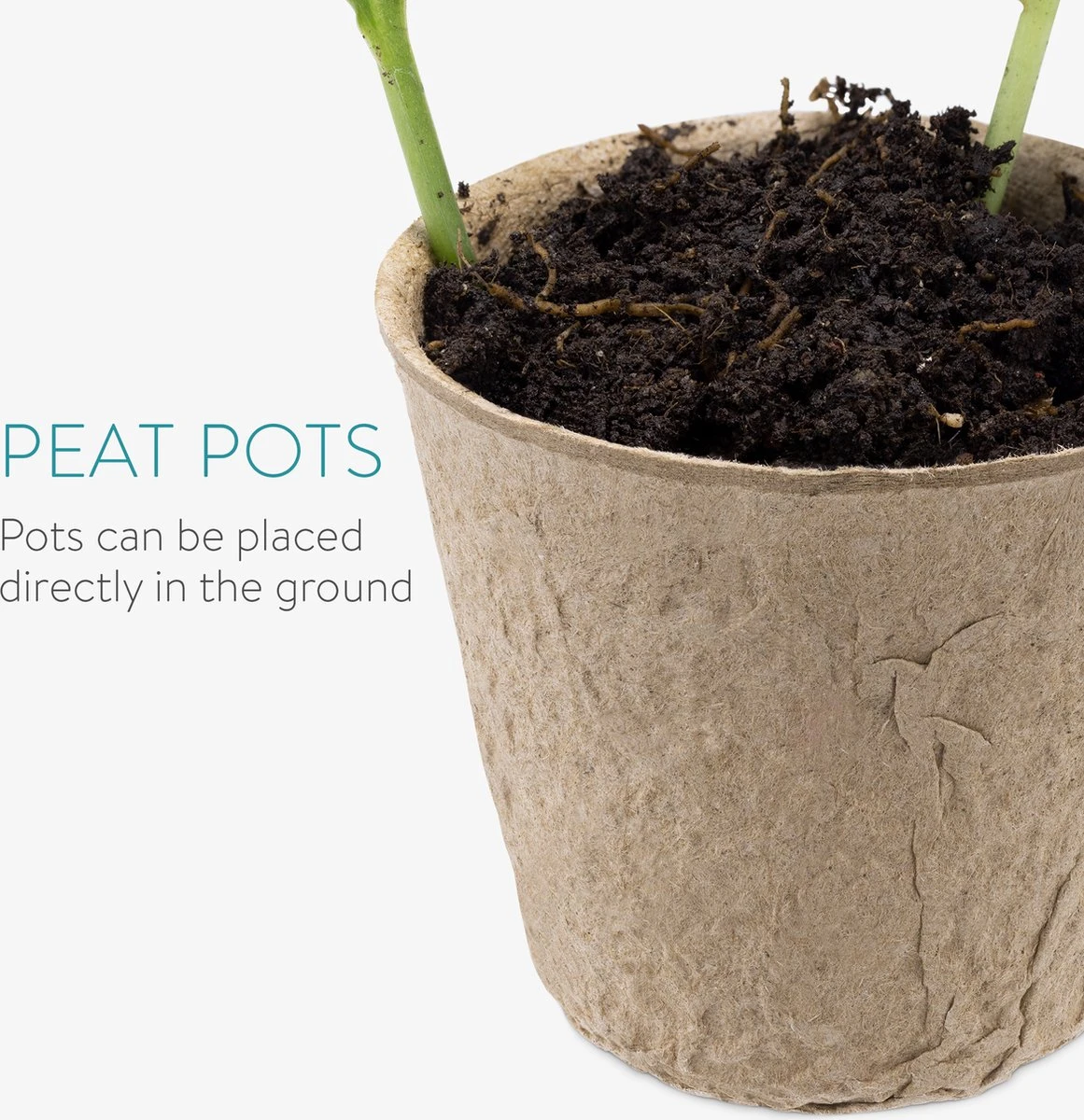 Navaris Zaden Starter Groei Set - 63-delige Set Met Potten Trays Deksel Labels Potlood Gatenmaker En Spatel - Kweek Nieuwe Planten 4 Navaris Zaden Starter Groei Set - 63-delige Set Met Potten Trays Deksel Labels Potlood Gatenmaker En Spatel - Kweek Nieuwe Planten - Afbeelding 2