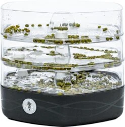 Mungo Antraciet - Kiemtoren Voor Zaden En Granen - Kiempot - Kiemzaden - Kiemschaaltje -Gardena Verkoopwinkel 1179x1200 1