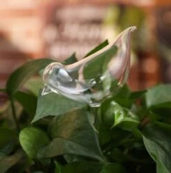 Waterdruppelaar Planten - Vorm Vogel - Set Van 3 Kunststof Druppelaars - 25cm Lengte - Genoeg Water Tijdens Je Vakantie -Gardena Verkoopwinkel 1190x1200 1