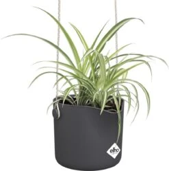 Elho B.for Swing 18 Hangpot - Bloempot Voor Binnen - Ø 18.0 X H 16.5 Cm - Zwart/Antraciet -Gardena Verkoopwinkel 1191x1200 10