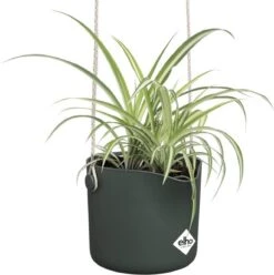 Elho B.for Swing 18 Hangpot - Bloempot Voor Binnen - Ø 18.0 X H 16.5 Cm - Groen/Blad Groen -Gardena Verkoopwinkel 1193x1200 10