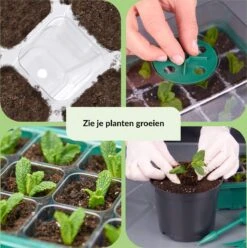 3 Pack LeafImpact Kweekbak - Complete Kweekset - Kweektafel - Verstelbare Ventilatie - Kweekbakken Moestuin -Gardena Verkoopwinkel 1194x1200 2