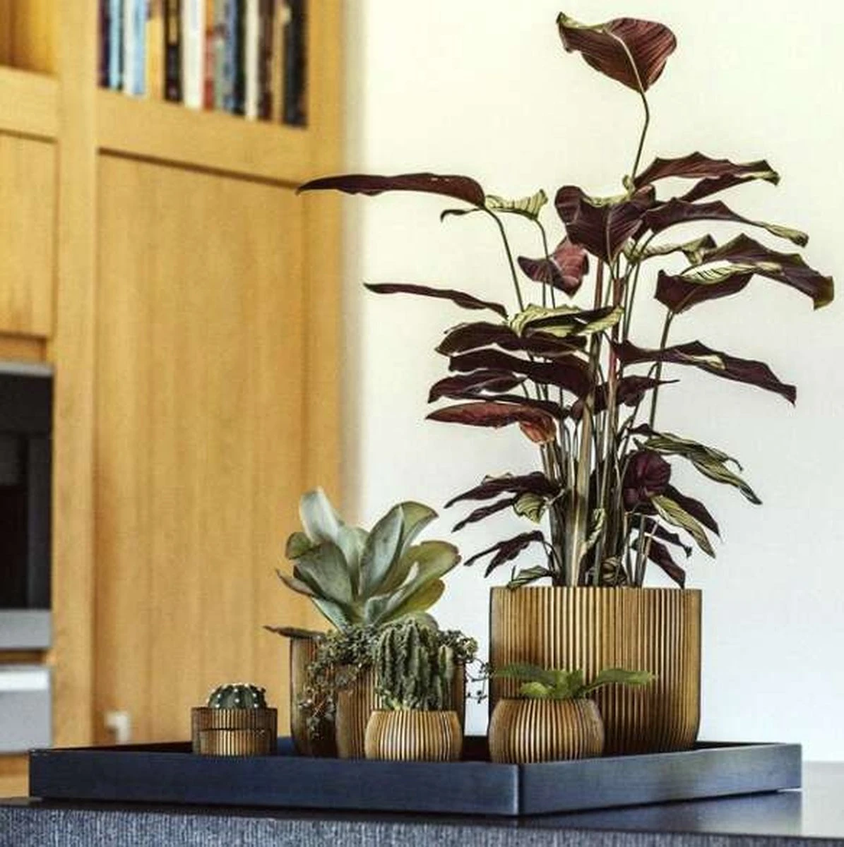 Capi Europe - Bloempot Bol Groove XL - 33x35 - Goud - Bloempot Voor Binnen - Opening ⌀28 - GVGB932 10 Capi Europe - Bloempot Bol Groove XL - 33x35 - Goud - Bloempot Voor Binnen - Opening ⌀28 - GVGB932 - Afbeelding 8