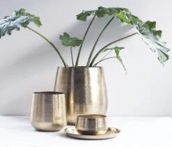 Gina Da - Bloempot - Karakter - Goud - Metaal - 15 Cm Hoog -Gardena Verkoopwinkel 1200x1027 7