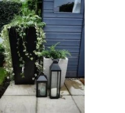 Prestige Manhattan 100L Regenton Zwart (incl. Kraantje) -Gardena Verkoopwinkel 1200x1083 1