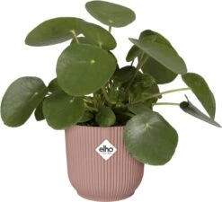 Elho Vibes Fold Rond Wielen 35 - Bloempot Voor Binnen - Ø 34.9 X H 32.4 Cm - Delicaat Roze -Gardena Verkoopwinkel 1200x1093 1
