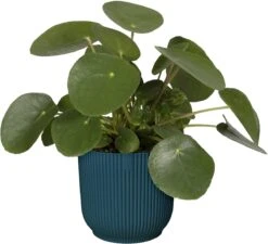 Elho Vibes Fold Rond 22 - Bloempot Voor Binnen - Ø 22.0 X H 20.2 Cm - Diepblauw -Gardena Verkoopwinkel 1200x1094 1