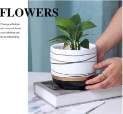 Bloempotten Binnen - Keramiek - Gouden Rand - Bloempot Buiten - Afvoergat 24 Cm - Wit Zwart – Groot 13 Bloempotten Binnen - Keramiek - Gouden Rand - Bloempot Buiten - Afvoergat 24 Cm - Wit Zwart – Groot -Gardena Verkoopwinkel 1200x1118 4