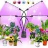 Kweeklamp Indoor - Full Spectrum Licht - Automatische Timer 3, 9 En 12 Uur - 4-Koppig - Groeilamp - Groei Van Planten - 80 LEDs - 40W -Gardena Verkoopwinkel 1200x1131