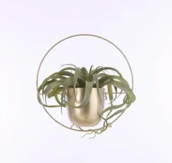 Mica Decorations Dexter Bloempot Wand - L34 X B14 X H34 Cm - Goud -Gardena Verkoopwinkel 1200x1137 1