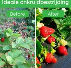 YUGN Anti Worteldoek 4x5M En 60 Gronddoekpennen - 20 M² - Duurzaam Gronddoek En Bodembedekker - Ideale Onkruidbestrijding - Gegalvaniseerd Anti Roest Grondpennen -Gardena Verkoopwinkel 1200x1142 1