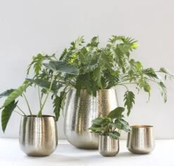 Gina Da - Bloempot - Karakter - Goud - Metaal - 15 Cm Hoog -Gardena Verkoopwinkel 1200x1142 5