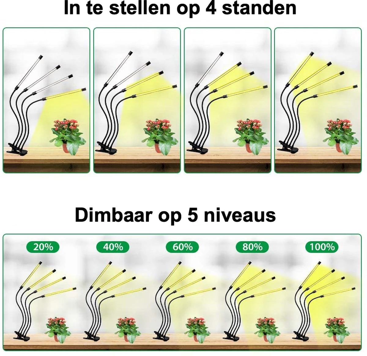 A Sunny Day Kweeklamp LED Wit Licht Inclusief Statief En USB Voeding - 160 Cm - Groeilamp Voor Planten - Zonlicht Lamp - Bloei Planten - Grow Light - 40 Watt - Automatisch Timer Voor 3-9-12 Uur 6 A Sunny Day Kweeklamp LED Wit Licht Inclusief Statief En USB Voeding - 160 Cm - Groeilamp Voor Planten - Zonlicht Lamp - Bloei Planten - Grow Light - 40 Watt - Automatisch Timer Voor 3-9-12 Uur - Afbeelding 4