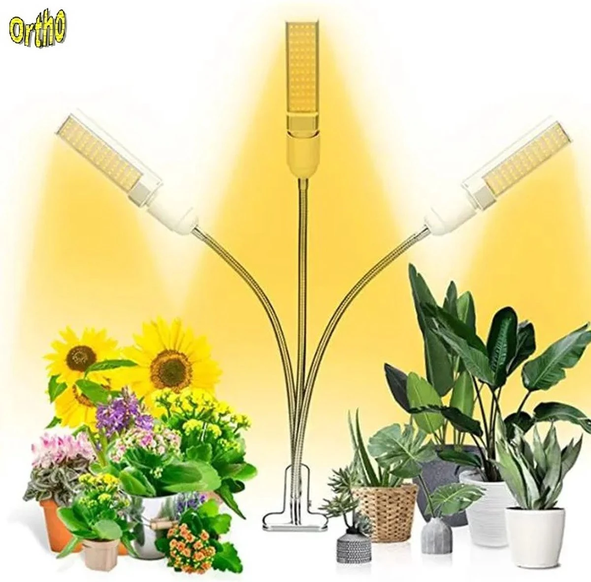 Ortho® - LED Groeilamp - Wit Licht - Bloeilamp - Kweeklamp - Full Spectrum - Grow Light - Groei Lamp (met 3 Lampen) Met Flexibele Lamphouder - Hoge Lichtintensiteit - Klem Spotje - 3x 17 Ortho® - LED Groeilamp - Wit Licht - Bloeilamp - Kweeklamp - Full Spectrum - Grow Light - Groei Lamp (met 3 Lampen) Met Flexibele Lamphouder - Hoge Lichtintensiteit - Klem Spotje - 3x - Afbeelding 15