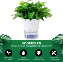 SKYARD® 3 Stuks Zelfwaterende Bloempot Maat M – Milieuvriendelijk Watergeefsysteem Kamerplanten – Zelfwatergevende Pot – Bloempot Met Waterreservoir – Selfwatering Pot – Wit -Gardena Verkoopwinkel 1200x1183 6