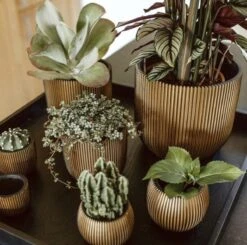 Capi Europe - Bloempot Bol Groove - 23x21 - Goud - Bloempot Voor Binnen - BGVGB134 -Gardena Verkoopwinkel 1200x1191 6