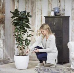 Elho Aqua Care 9 - Accessoires Voor Binnenaccessoires - Ø 17.3 X H 32.0 Cm - Transparant/Transparant -Gardena Verkoopwinkel 1200x1193 8