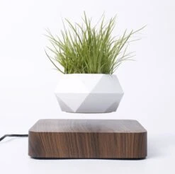 Floatey Design Plant | Zwevende Plant - Bloempot (levitation) -Gardena Verkoopwinkel 1200x1196 6