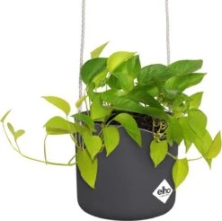 Elho B.for Swing 18 Hangpot - Bloempot Voor Binnen - Ø 18.0 X H 16.5 Cm - Zwart/Antraciet -Gardena Verkoopwinkel 1200x1197 11