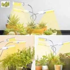 Ortho® - LED Groeilamp - Wit Licht - Bloeilamp - Kweeklamp - Full Spectrum - Grow Light - Groei Lamp (met 3 Lampen) Met Flexibele Lamphouder - Hoge Lichtintensiteit - Klem Spotje - 3x 38 Ortho® - LED Groeilamp - Wit Licht - Bloeilamp - Kweeklamp - Full Spectrum - Grow Light - Groei Lamp (met 3 Lampen) Met Flexibele Lamphouder - Hoge Lichtintensiteit - Klem Spotje - 3x -Gardena Verkoopwinkel 1200x1198 1