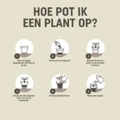 Pokon Hydrokorrels - 10l - Kleikorrels - Goed Voor Drainage -Gardena Verkoopwinkel 1200x1198 11