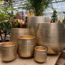 Merkloos Karakter Pot Alu Neo Gold ø40x40cm 9 Merkloos Karakter Pot Alu Neo Gold ø40x40cm -Gardena Verkoopwinkel 1200x1198 37