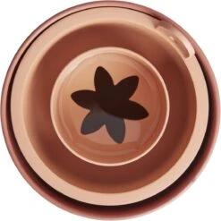 Elho Amazing Avocado Pot 12 - Kweekpot Voor Binnen - Moestuinbak Van 100% Gerecycled Plastic - Ø 12.0 X H 12.1 Cm - Bruin/Toffee Terra 13 Elho Amazing Avocado Pot 12 - Kweekpot Voor Binnen - Moestuinbak Van 100% Gerecycled Plastic - Ø 12.0 X H 12.1 Cm - Bruin/Toffee Terra -Gardena Verkoopwinkel 1200x1198 8