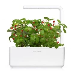 Click And Grow - Smart Garden 3 - Wit 11 Click And Grow - Smart Garden 3 - Wit -Gardena Verkoopwinkel 1200x1200 102