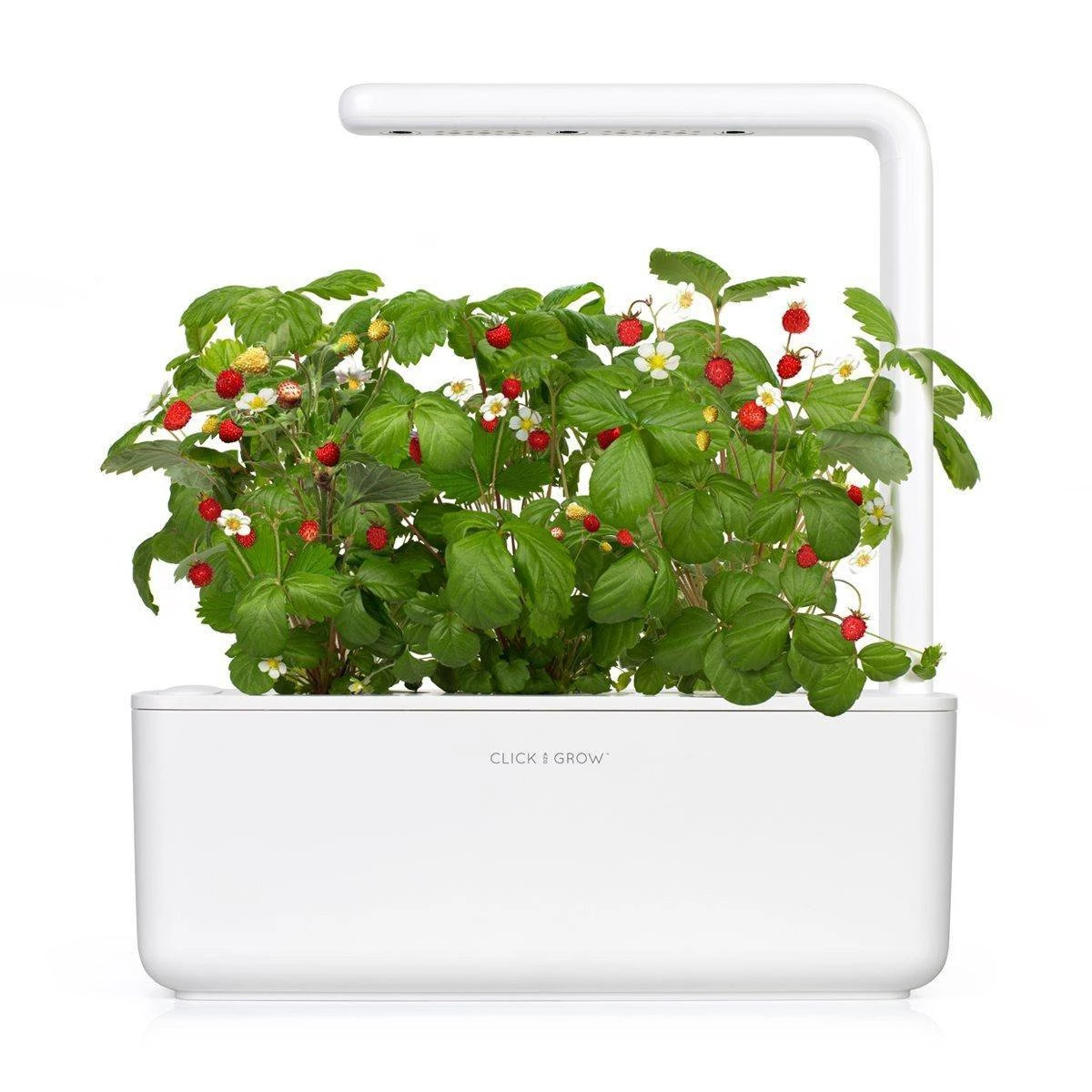 Click And Grow - Smart Garden 3 - Wit 7 Click And Grow - Smart Garden 3 - Wit - Afbeelding 5