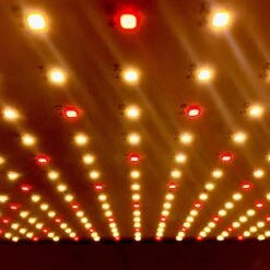 A Sunny Day LED Groeilamp - Bloeilamp - Kweeklamp - Stimuleert Bloei - Grow Light - Groeilamp Wit Licht - 45 Watt - 30 X 30 Cm - 225 LEDs -Gardena Verkoopwinkel 1200x1200 112