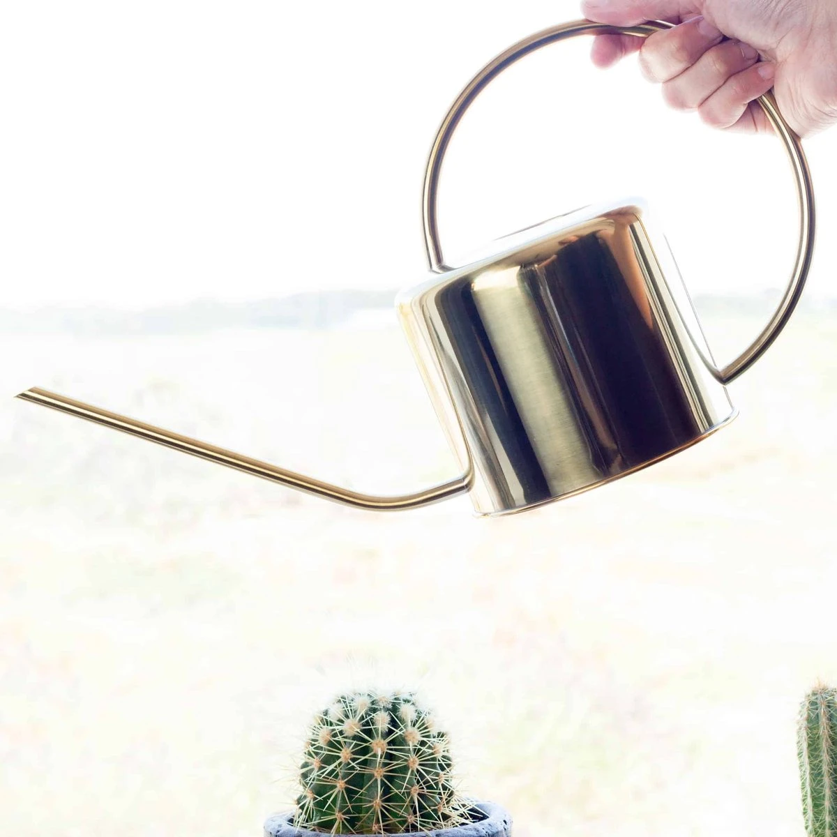 Kikkerland Vintage Gieter - Plantengieter Voor Binnen - Goud - 1,2L - Retro - Metaal 7 Kikkerland Vintage Gieter - Plantengieter Voor Binnen - Goud - 1,2L - Retro - Metaal - Afbeelding 5