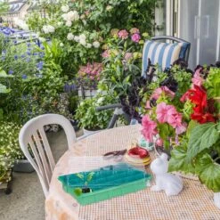 Relaxdays Kweekbak Binnen - Mini Kweekkas Met Deksel - Voor Zaailingen - Vensterbank Groen -Gardena Verkoopwinkel 1200x1200 118