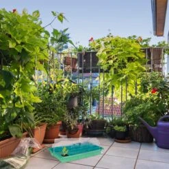 Relaxdays Kweekbak Binnen - Mini Kweekkas Met Deksel - Voor Zaailingen - Vensterbank Groen -Gardena Verkoopwinkel 1200x1200 119