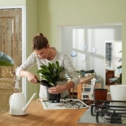 Elho Self-watering Insert 24 - Accessoires Voor Binnenaccessoires - Ø 23.7 X H 22.2 Cm - Zwart/Living Black -Gardena Verkoopwinkel 1200x1200 1201