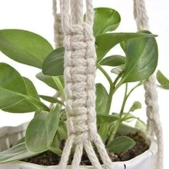 4 Stuks Plantenhangers - Boho Handgeweven Katoen Hangpot Voor Binnen/Buiten - Bloempot Met Kralen - Macramé Touw/Koord Hangplant Houder - Bohemian Wandhanger Decoratie - Verticale Tuin Plant Hanger Bloempothouder Planthanger Wit 17 4 Stuks Plantenhangers - Boho Handgeweven Katoen Hangpot Voor Binnen/Buiten - Bloempot Met Kralen - Macramé Touw/Koord Hangplant Houder - Bohemian Wandhanger Decoratie - Verticale Tuin Plant Hanger Bloempothouder Planthanger Wit -Gardena Verkoopwinkel 1200x1200 1258